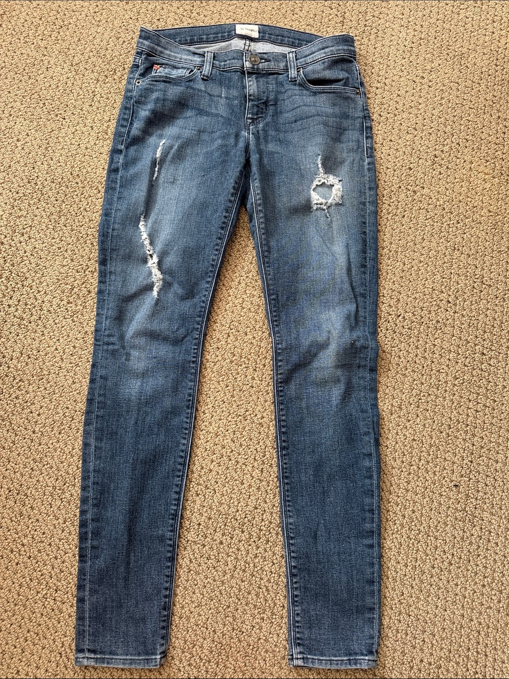 Hudson Jeans Women's Distressed Skinny Jeans in Blue